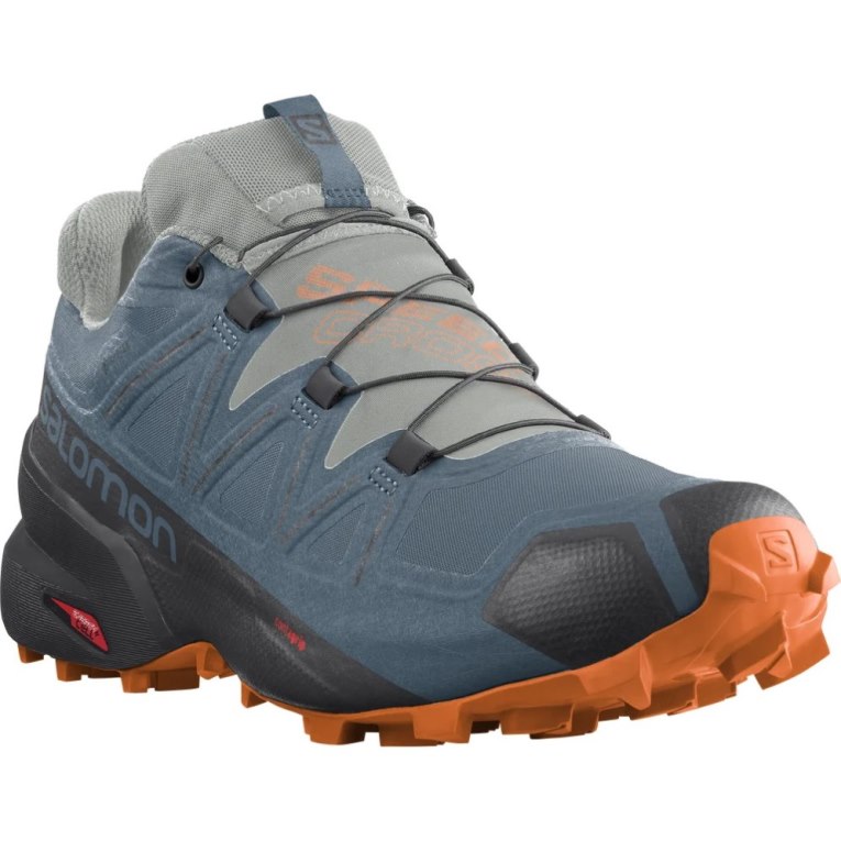 Salomon Speedcross 5 GTX Men's Trail Running Shoes Blue | CA 42C53